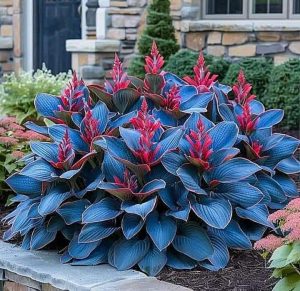 Хоста Грин Фог купить по цене от 669р. в интернет-магазине «Посадика» с доставкой почтой в в Весьегонске и по всей России – [изображение №1].