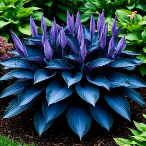 Хоста Сикрет Гров купить по цене от 570р. в интернет-магазине «Посадика» с доставкой почтой в в Весьегонске и по всей России – [изображение №1].