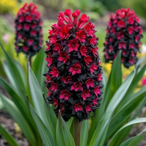 Гиацинт Джем Стоун купить по цене от 2099р. в интернет-магазине «Посадика» с доставкой почтой в в Весьегонске и по всей России – [изображение №1].