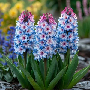 Гиацинт Пинк Мари купить по цене от 2099р. в интернет-магазине «Посадика» с доставкой почтой в в Весьегонске и по всей России – [изображение №1].