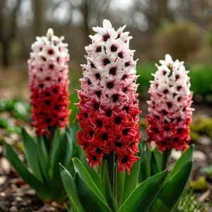 Гиацинт Скай Гарден купить по цене от 2099р. в интернет-магазине «Посадика» с доставкой почтой в в Весьегонске и по всей России – [изображение №1].