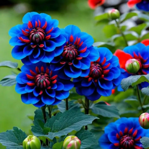 Георгин Аквамарин купить по цене от 318р. в интернет-магазине «Посадика» с доставкой почтой в в Весьегонске и по всей России – [изображение №1].